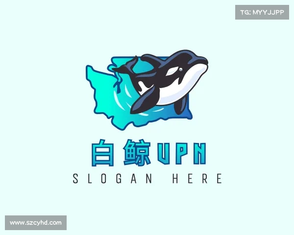 了解白鲸VPN