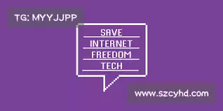 白鲸加速器官网——掌握数据脉动，迅速调整，与市场无缝对接，轻松提升业绩！